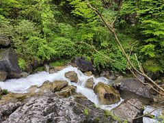 -鹿院坪生态旅游景区