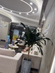 -上海首尔丽格医疗美容医院