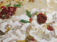 -周渝食惦酸菜鱼(青浦店)