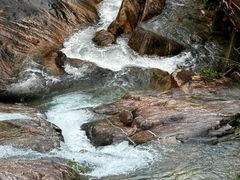 -广州白江湖森林公园