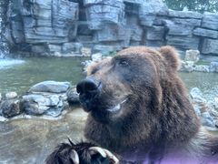 -北京野生动物园