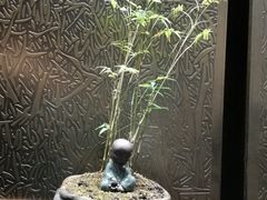 -沁园·珍藏湘味(芙蓉广场店)