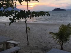 -Scarborough Fish & Chips- Tanjung Rhu