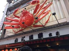 -蟹道乐(道顿堀本店)