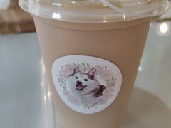 -Husky Go! 哈士奇体验馆·宠物咖啡厅狗咖