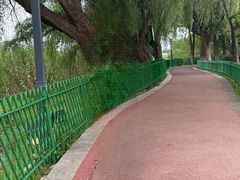 -金银湖国家城市湿地公园