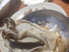 -千岛蚝高压锅生蚝·人参火锅(白云万达店)