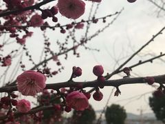 -南京国际会议大酒店