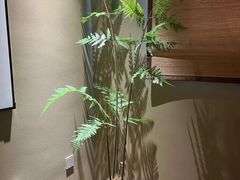 -若水云栖·足疗·按摩·SPA(城阳万达广场店)