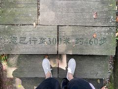 -重庆平顶山公园