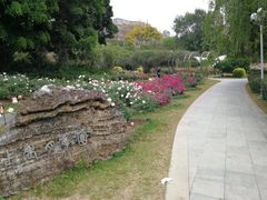 -人民公园(罗湖区)