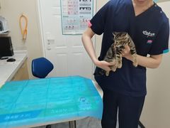 -芭比堂动物医院·CT·微创中心(新顺分院)