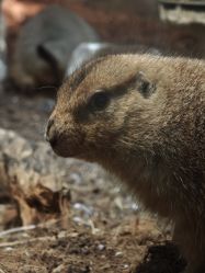 -Zoolung Zoolung动物主题公园(海信广场店)