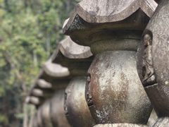 -玉苍山国家森林公园
