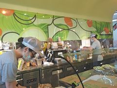 -油梨树AVOCADO TREE(望京店)