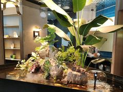 -映像威海·威海宴(威高广场店)