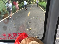 -广东茂名森林公园