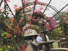 -The Grounds of Alexandria