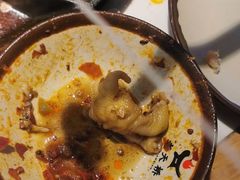 -老天桥蛙炉火锅(姑苏总店)