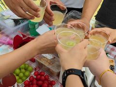 -梁子湖东篱老屋生态庄园
