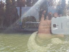 android_upload_pic-溱湖国家湿地公园