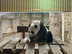 -无锡动物园·太湖欢乐园