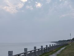 -观潮胜地公园