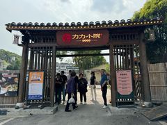-湘力力小院·鱼汤泡饭(枫林路店)