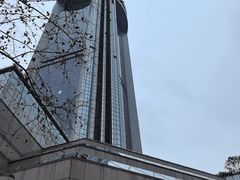 -上海新锦江大酒店