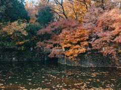 -虞山风景区