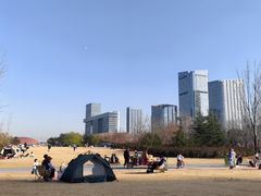 -洨河生态公园