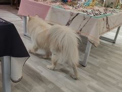 -肆兮眼镜·蔡司·徕卡战略合作店(大坪店)