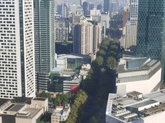 -南京商茂国际酒店(新街口德基广场店)