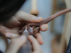 -五月木作·DIY木作文创体验店(北京路店)