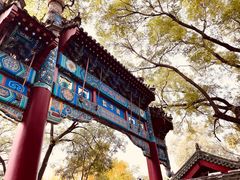 -北京国子监胡同