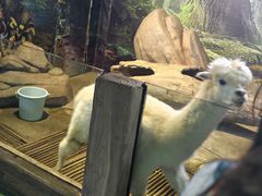 -苏州海洋馆