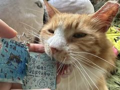 -汪小喵宠物·戴维斯乐芳希施宠馨宝皮毛调理洗护店