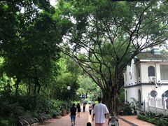 -九龙公园