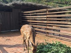 -北京山里寒舍度假酒店