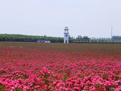 -南京枫彩漫城