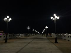 -野狸岛