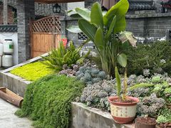 -马村鱼头