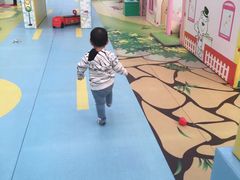 游乐设施-南宫五洲植物乐园