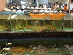 水产区-国惠大酒楼(爱琴海购物公园店)