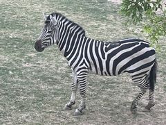 -祥源·阜阳生态乐园