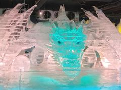 -海合安武汉极地海洋公园