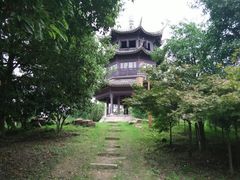 -梁鸿国家湿地公园