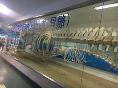 -国际邮轮中心码头(厦鼓码头)