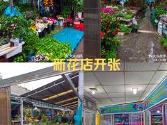 -曲阳花鸟市场(曲阳路店)