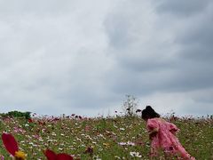 -嘉北郊野公园